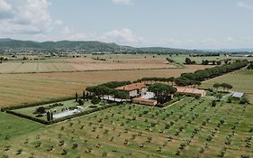Terra Di Cortona